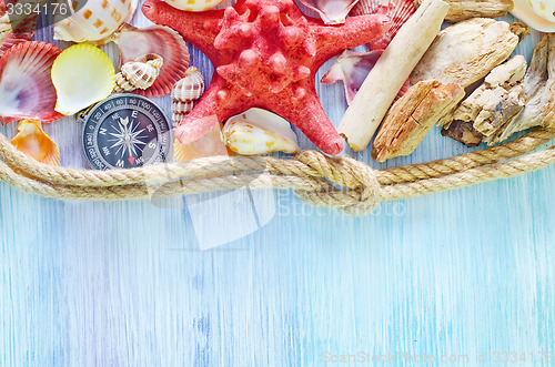 Image of sea shells on blue background