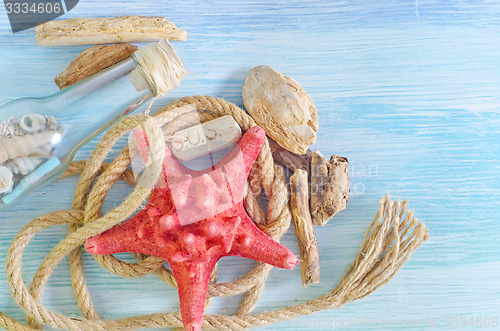 Image of sea shells on blue background