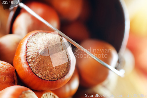 Image of hazelnuts