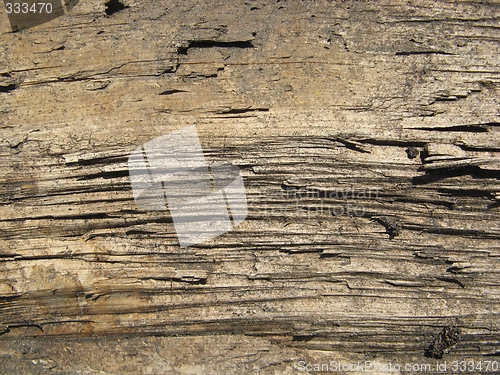 Image of old wood texture