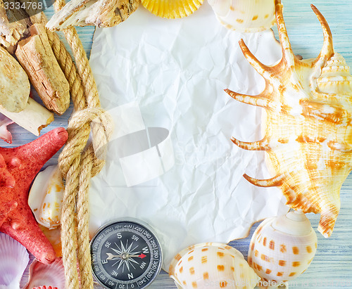 Image of sea shells on blue background