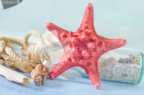 Image of sea shells on blue background