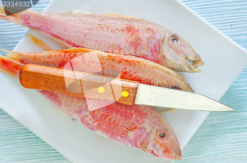 Image of raw fish