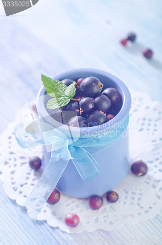 Image of black currant