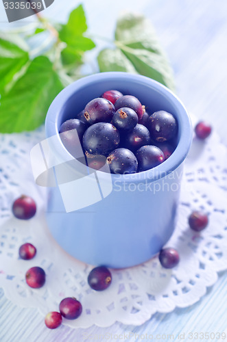 Image of black currant