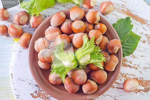 Image of hazelnuts