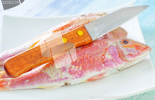 Image of raw fish