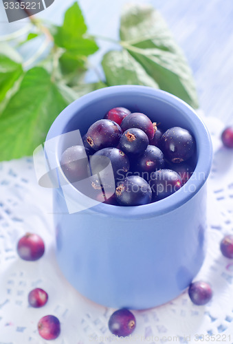 Image of black currant