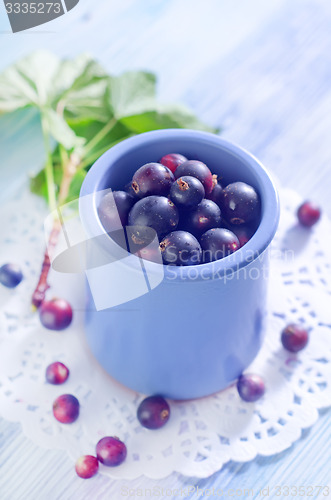 Image of black currant