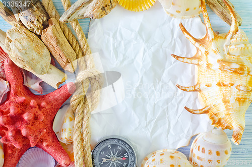 Image of sea shells on blue background