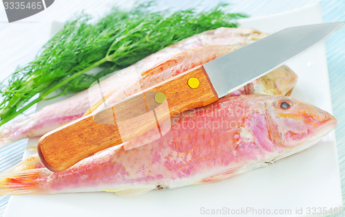 Image of raw fish