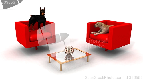 Image of dogs in the lounge room