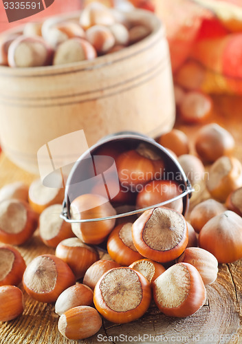 Image of hazelnuts