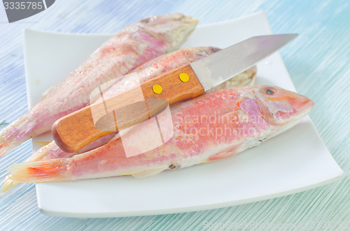 Image of raw fish