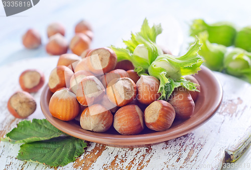 Image of hazelnuts