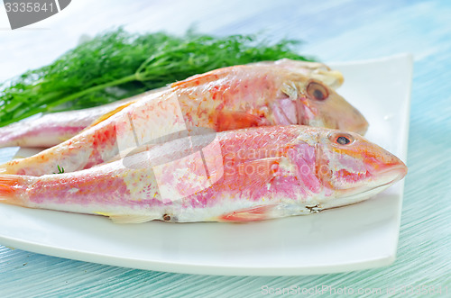 Image of raw fish