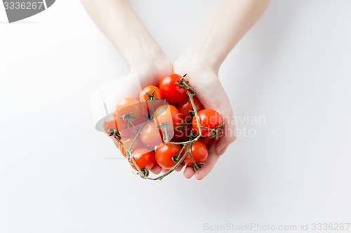 Image of close up of woman hands holding cherry tomatoes