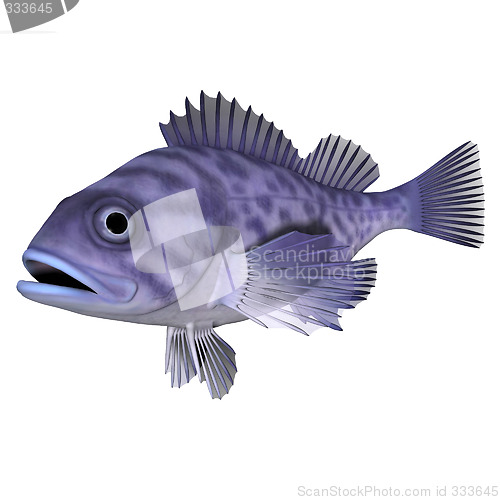 Image of 3d animation fish