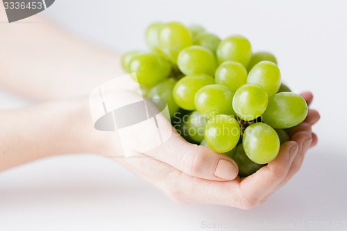 Image of close up of woman hands holding green grape bunch