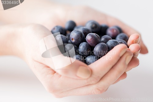 Image of close up of woman hands holding blueberries