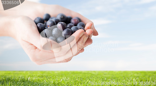 Image of close up of woman hands holding blueberries