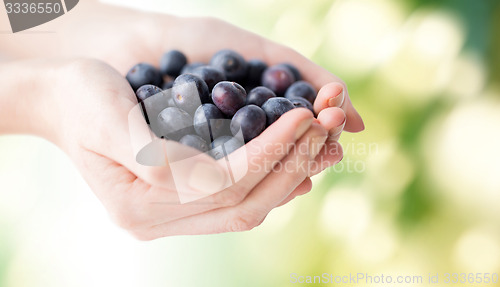 Image of close up of woman hands holding blueberries