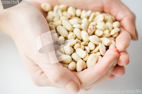 Image of close up of woman hands holding peeled peanuts