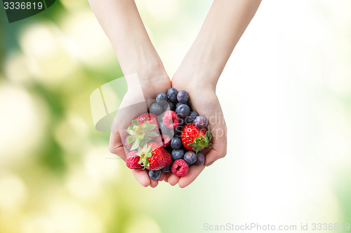 Image of close up of woman hands holding berries