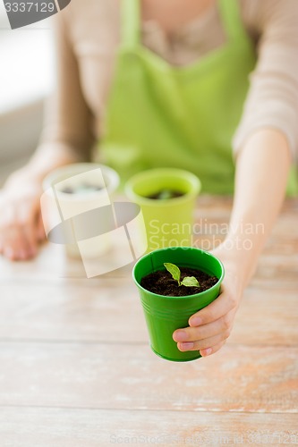 Image of close up of woman hand holding pot with sprout