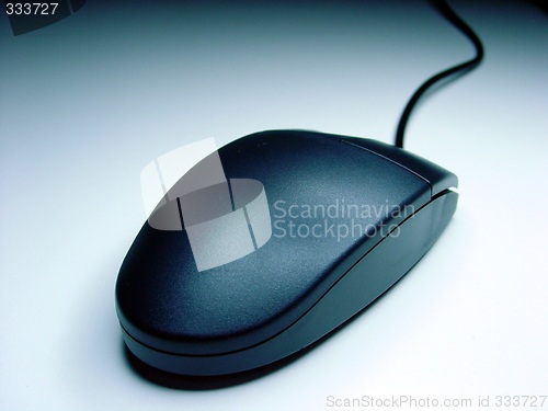 Image of mouse