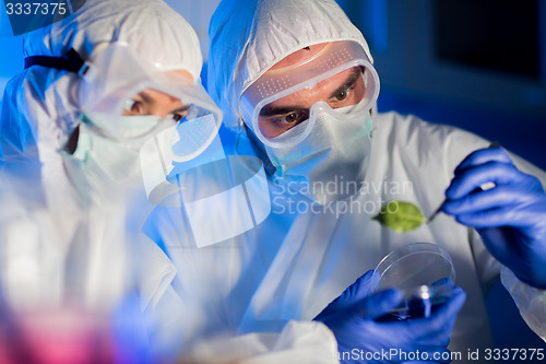 Image of close up of scientists with green leaf in lab