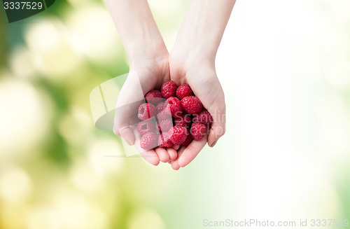 Image of close up of woman hands holding raspberries