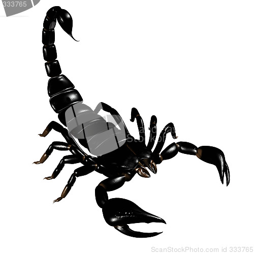 Image of 3d scorpion