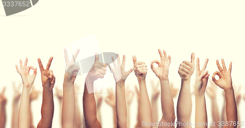 Image of human hands showing thumbs up, ok and peace signs