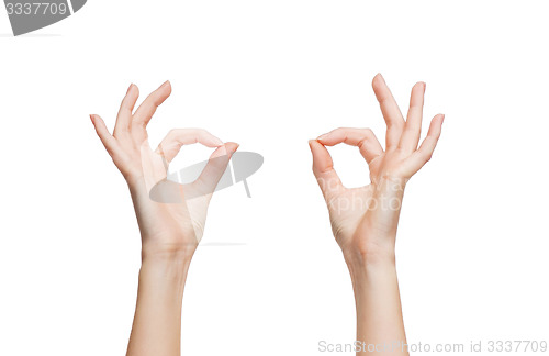 Image of woman hands showing ok sign