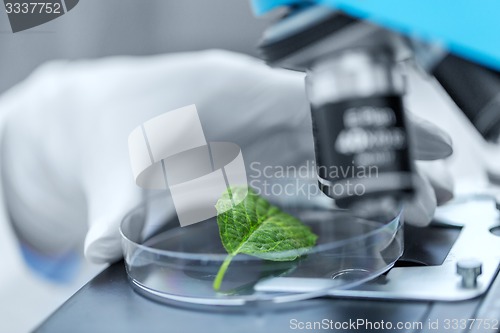 Image of close up of hand with microscope and green leaf