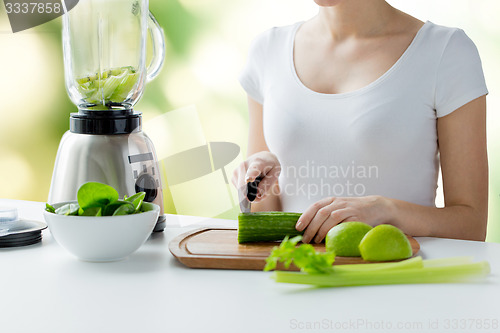Image of close up of woman with blender chopping vegetables