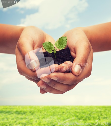 Image of woman hands holding plant in soil