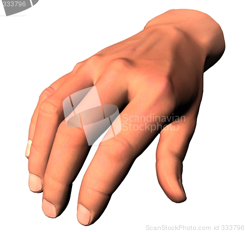 Image of 3d hand
