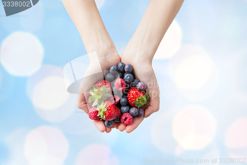 Image of close up of woman hands holding berries