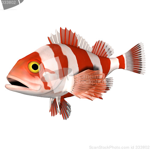 Image of 3d animation fish