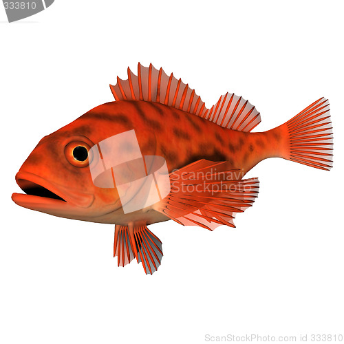 Image of 3d animation fish