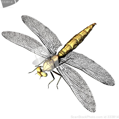 Image of 3d mosquito