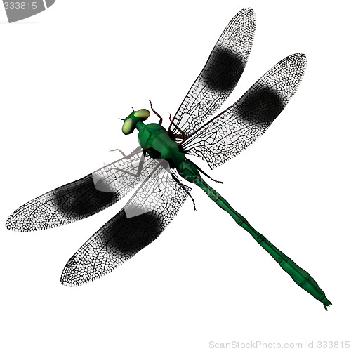 Image of 3d mosquito