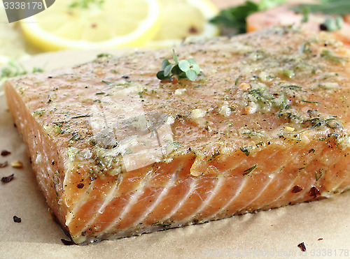 Image of Salted salmon fillet