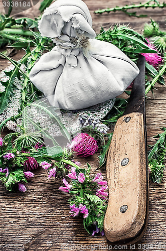 Image of cut flowers prickly Thistle