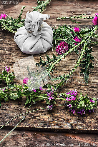 Image of cut flowers prickly Thistle