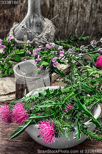 Image of Milk thistle flower