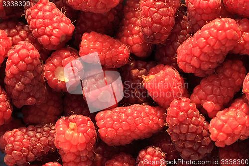 Image of big red raspberries background