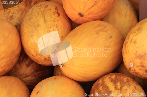 Image of yellow melons 